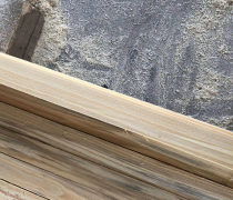鐵杉建筑口料售價(jià) 鐵杉建筑口料 森發(fā)木材木龍骨 查看